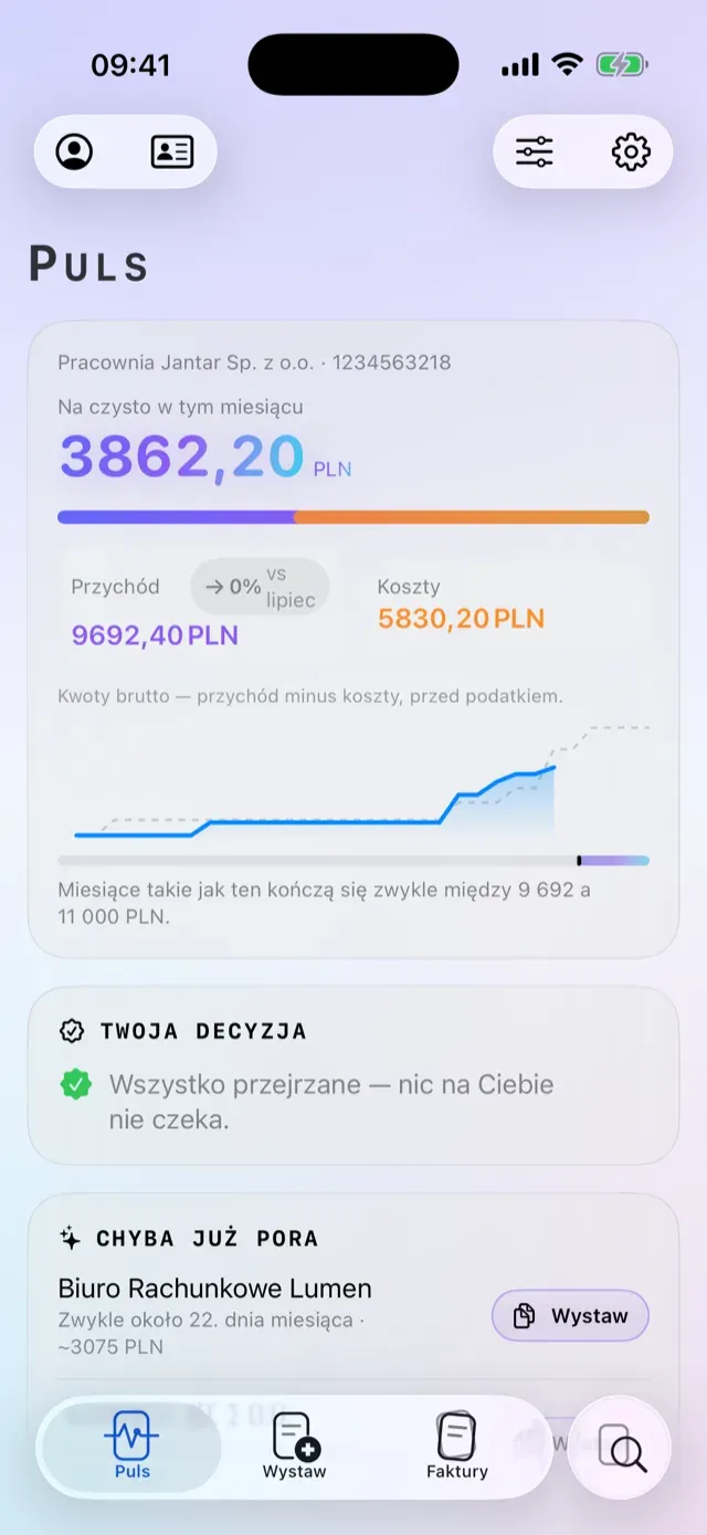 Puls — przychody, rytm płatności klientów i porównanie okresów